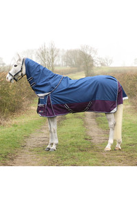 2023 Hy Equestrian DefenceX System 0g Turnout Rug with Detachable Neck Cover 2814 - Navy / Purple
